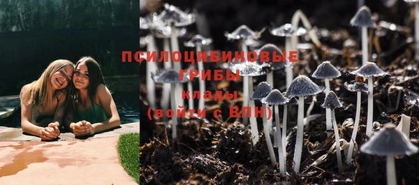 MESCALINE Арсеньев