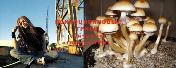 MESCALINE Арсеньев