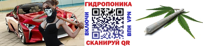 мега ссылки  Николаевск-на-Амуре  Шишки марихуана индика 